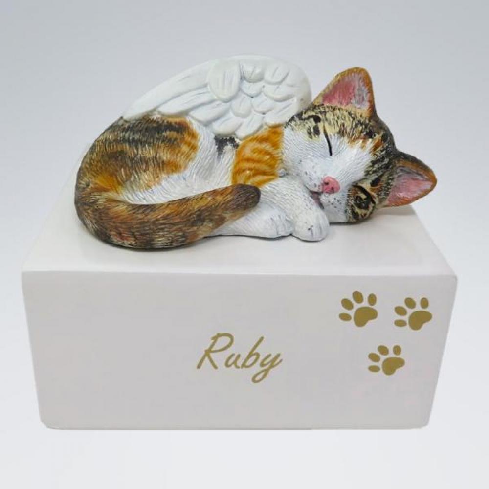 Katzenurne schlafende Katze mit Flügel
